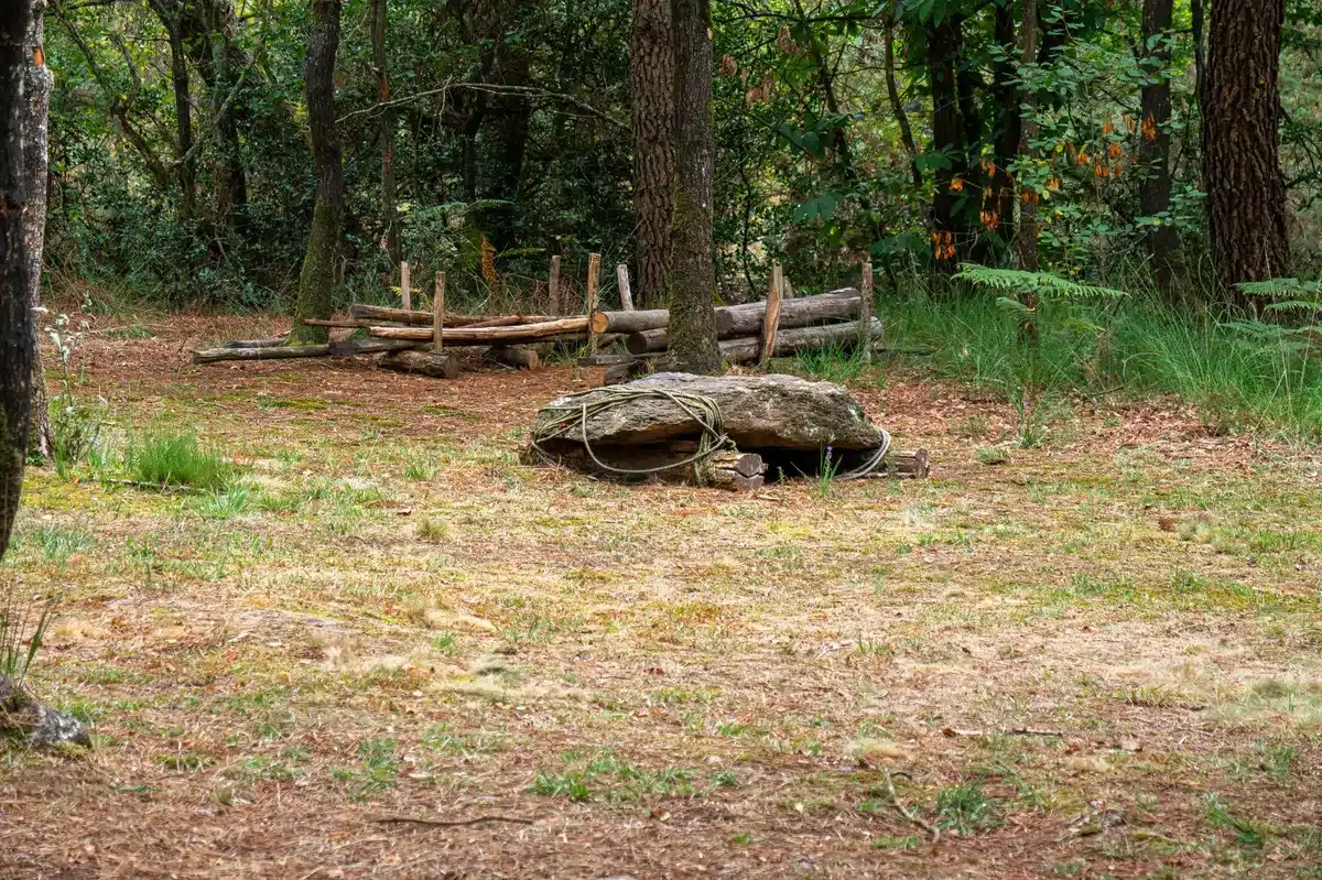 Site mégalithique de Monteneuf avec dolmens et forêt environnante
