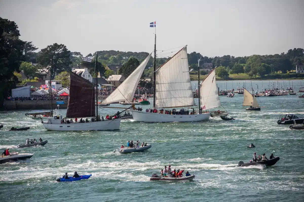 Régate de voiliers traditionnels dans le Morbihan, Bretagne
